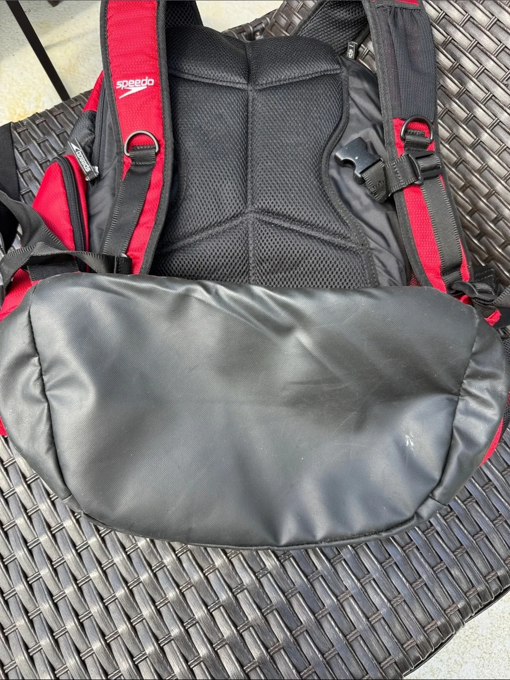 Speedo backpack bold